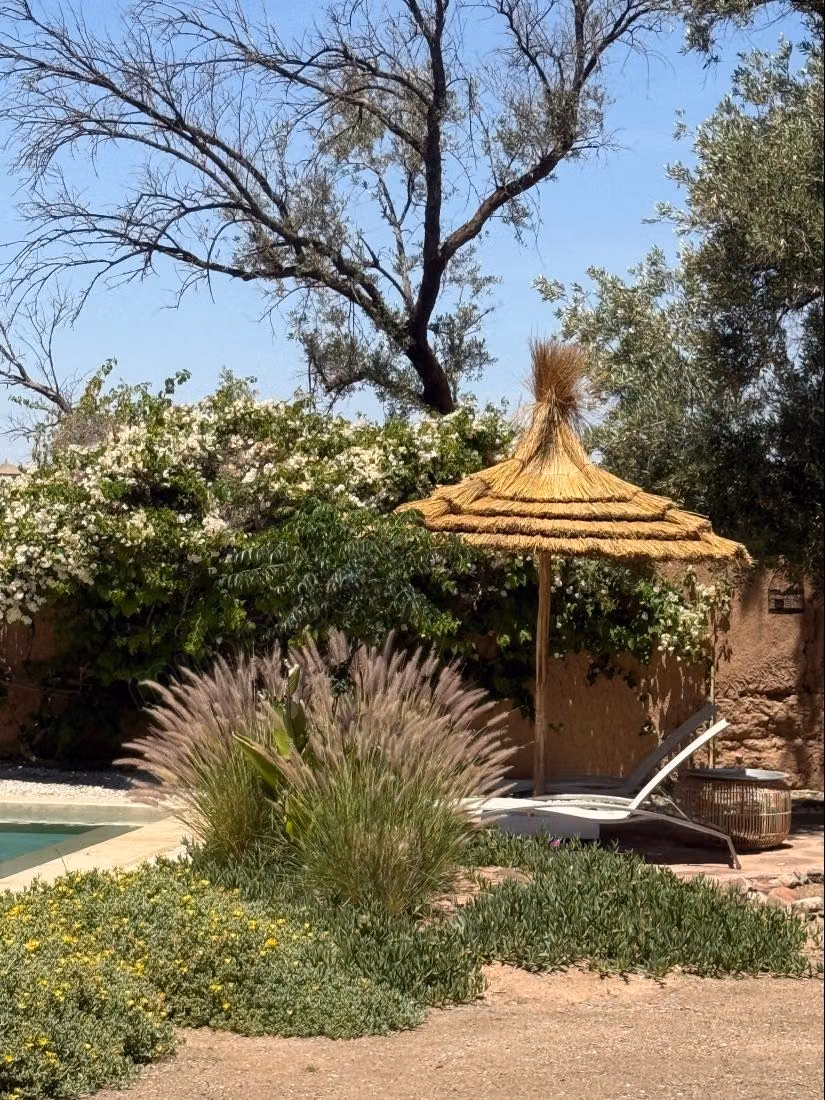 Maison d’architecte rare au cœur d’une oliveraie