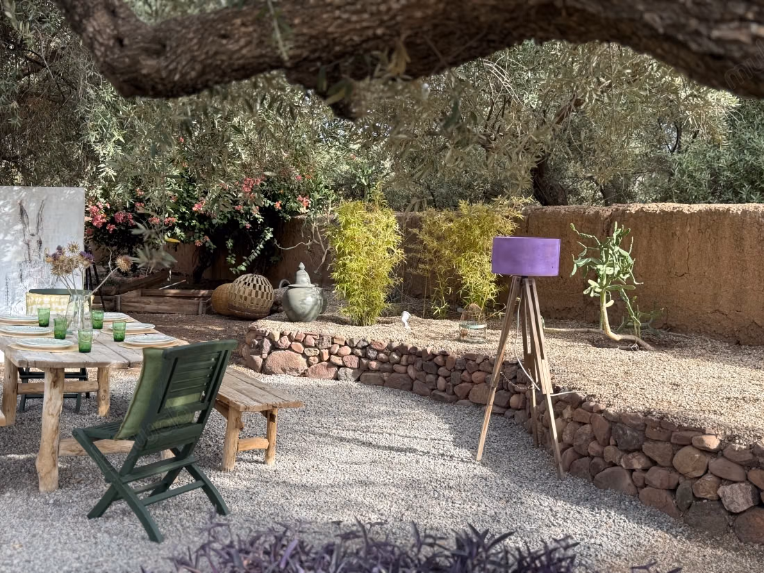 Maison d’architecte rare au cœur d’une oliveraie