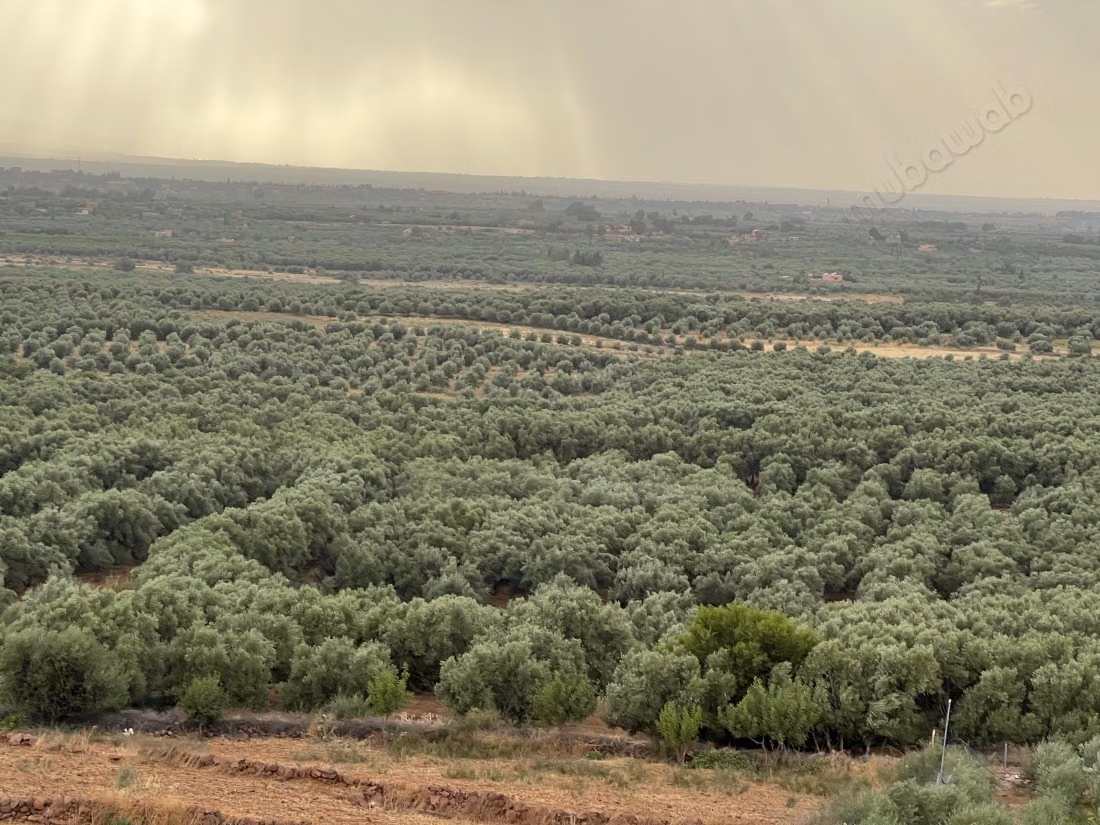 Terreno a la venta en la Ruta de Ourika. Superficie 10200 m²