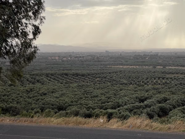 Terrain à la vente à Route de l'Ourika.
Superficie 10200 m²