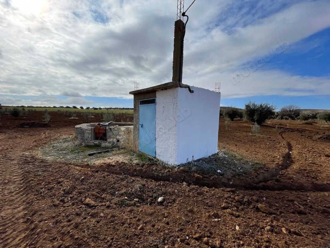 Fattoria di 2 ha in vendita a Nejet, El Kef