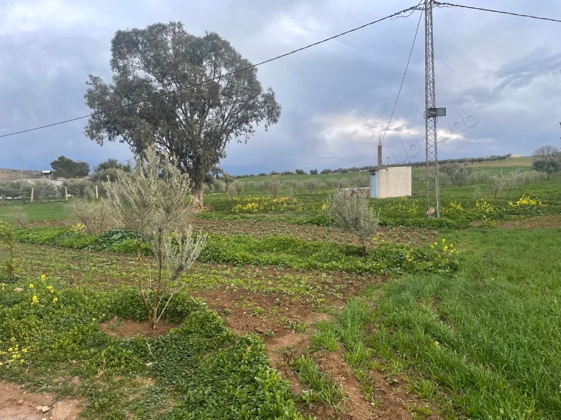 Fattoria di 2 ha in vendita a Nejet, El Kef