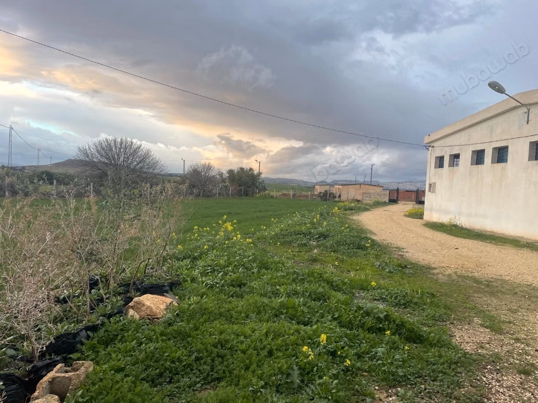 Fattoria di 2 ha in vendita a Nejet, El Kef