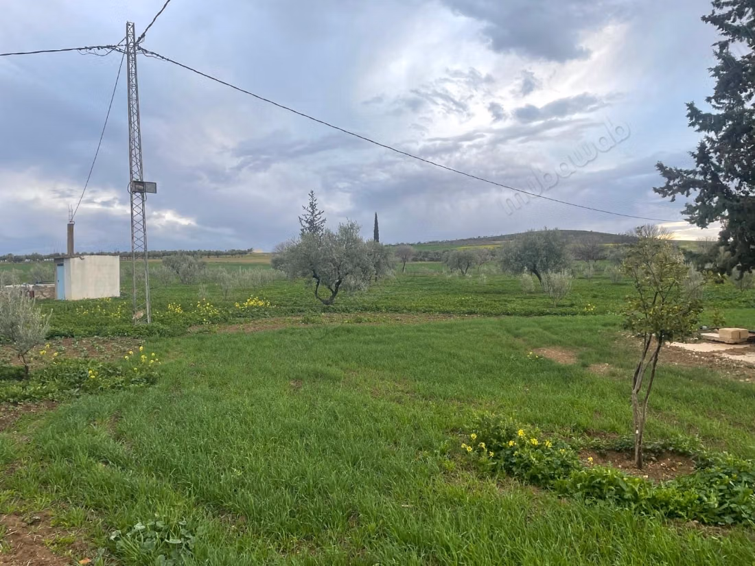 Fattoria di 2 ha in vendita a Nejet, El Kef
