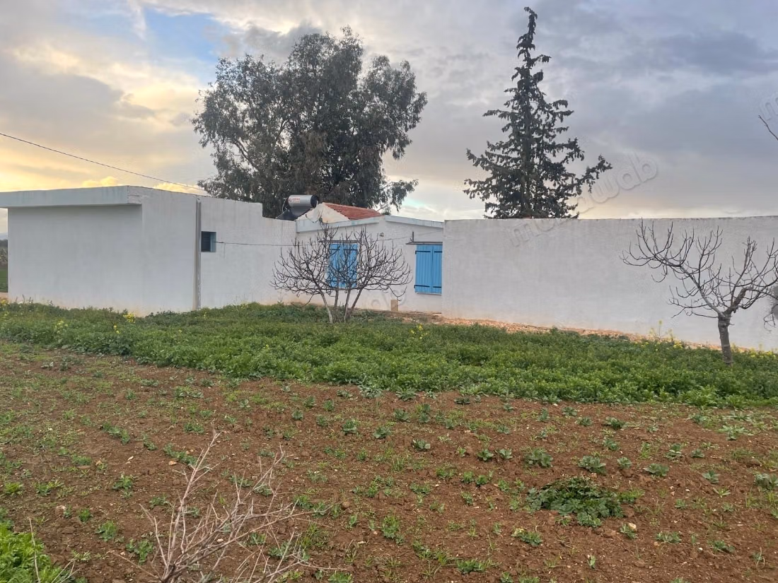 Fattoria di 2 ha in vendita a Nejet, El Kef