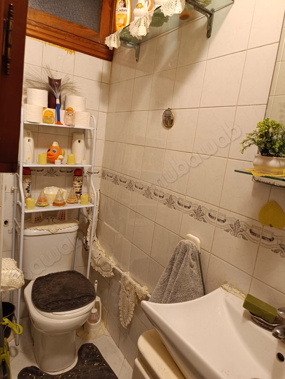 Charmant Appartement très bien ensoleillé