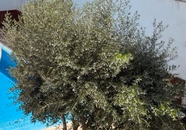 Villa en venta - Chantilly