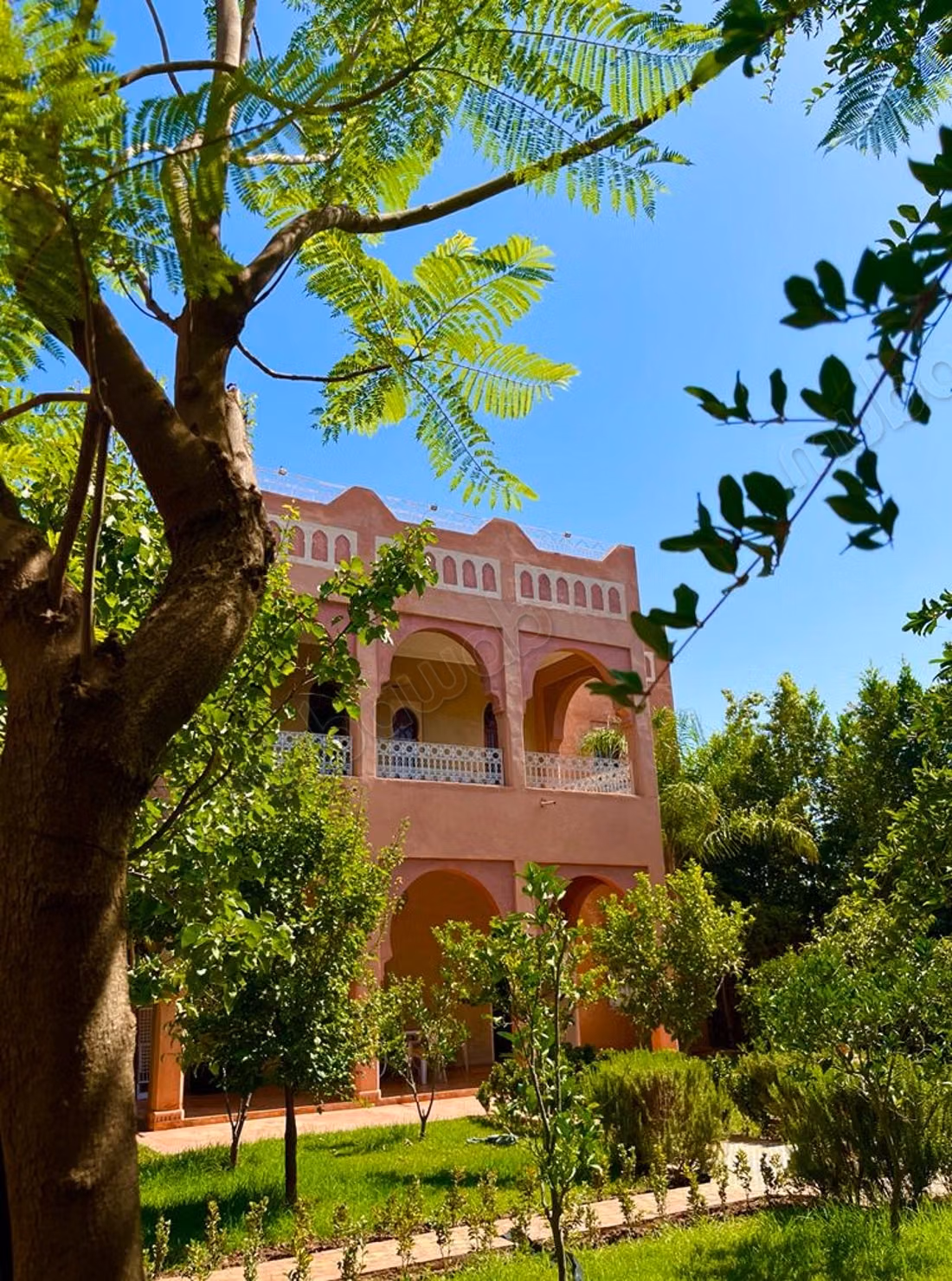 Splendid Oriental Charm Riad