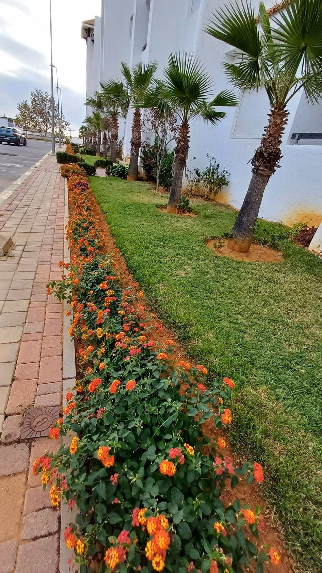 Apartment for sale in Asilah. 1 Room. Concierge and swimming pool
