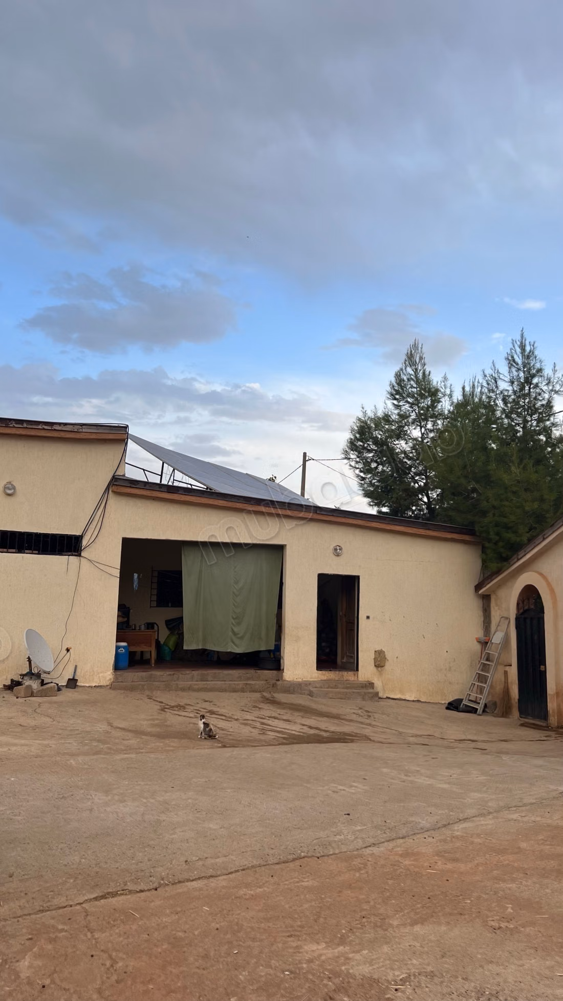 Vente d'une ferme à Mouha Ouhamou Zayani. Superficie totale de 300 m². Sécurité 24/24.