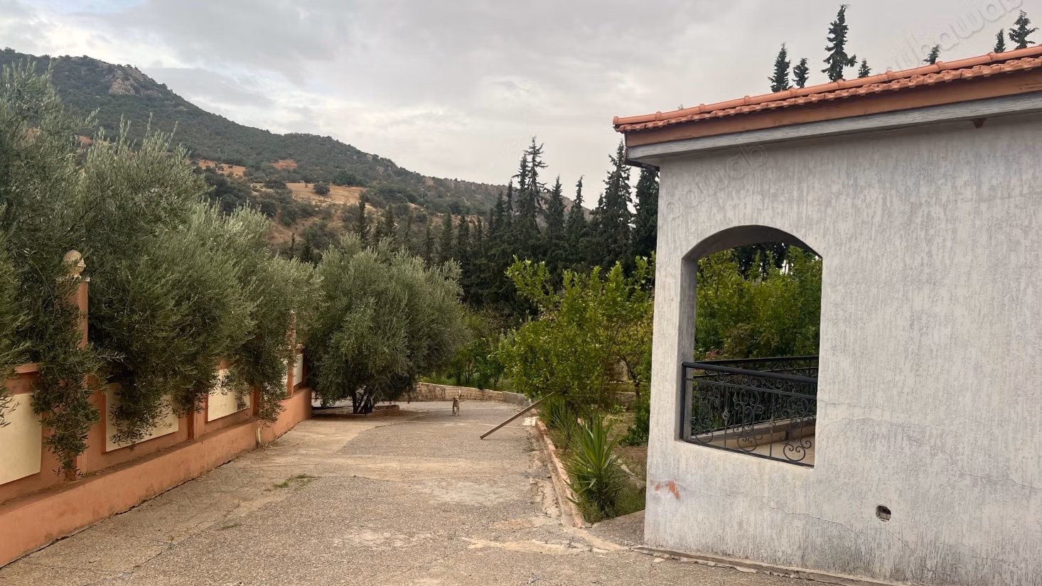Vente d'une ferme à Mouha Ouhamou Zayani. Superficie totale de 300 m². Sécurité 24/24.