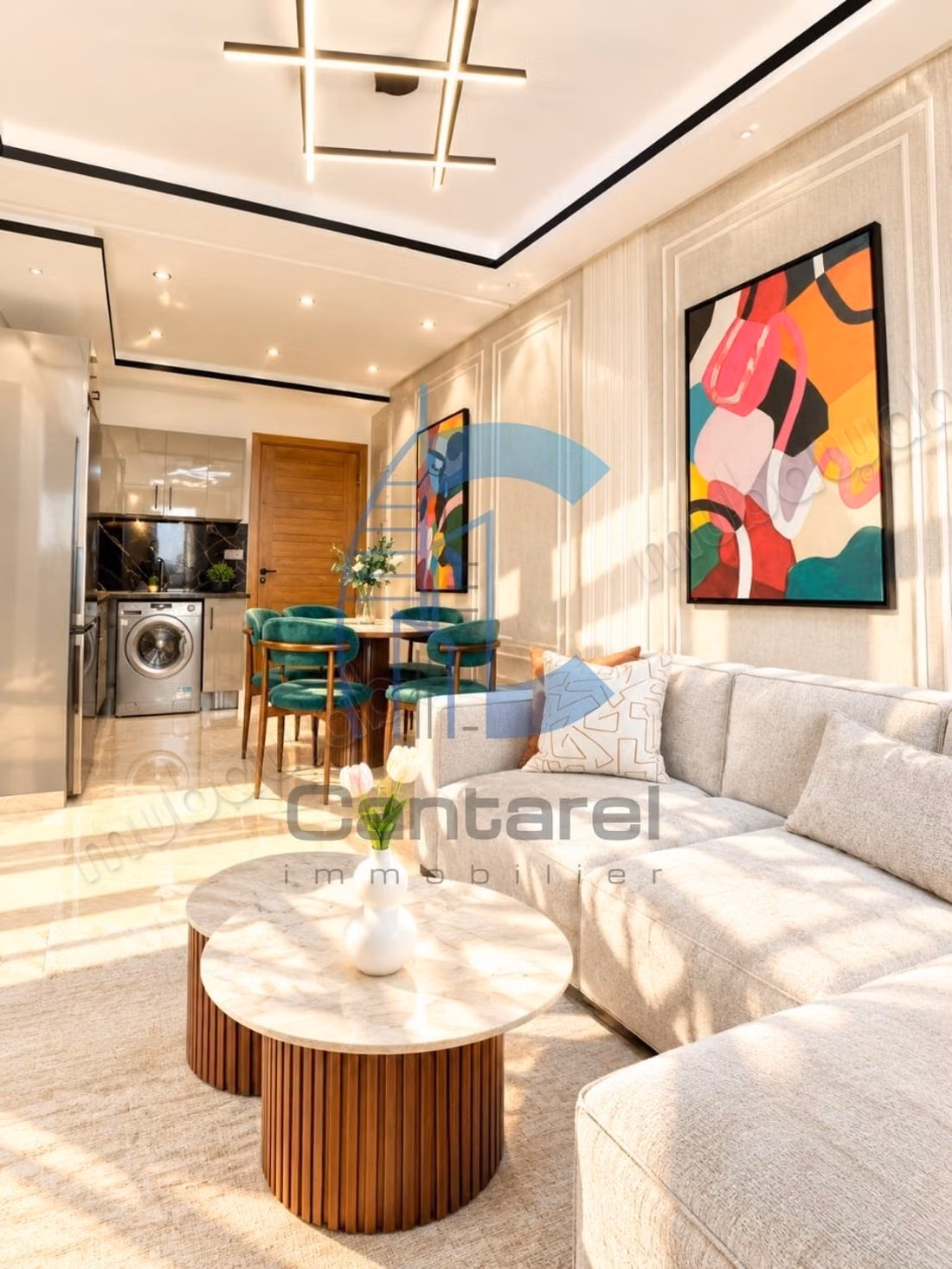 For rent – brand new fully furnished apartment maa