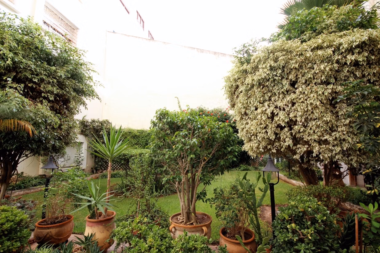 Se alquila apartamento renovado de 2 habitaciones con terraza cerca del parque Lyautey