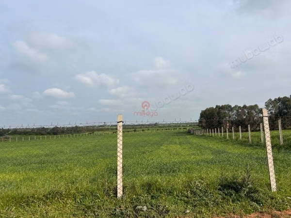 Vendita di terreno agricolo a Bir Jdid