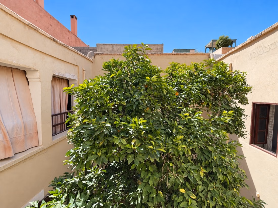 Riad antico da ristrutturare, riad Zitoun