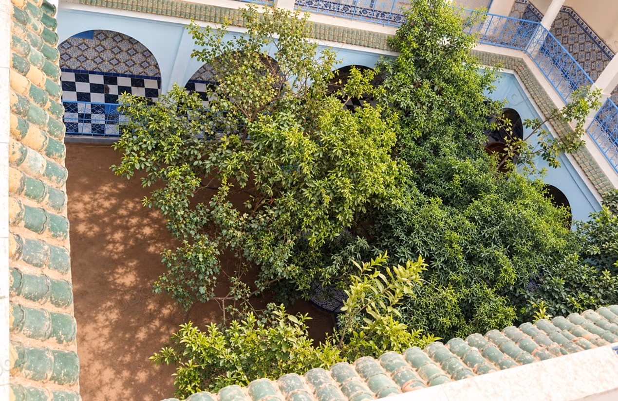 Riad with 2 gardens and 10 rooms