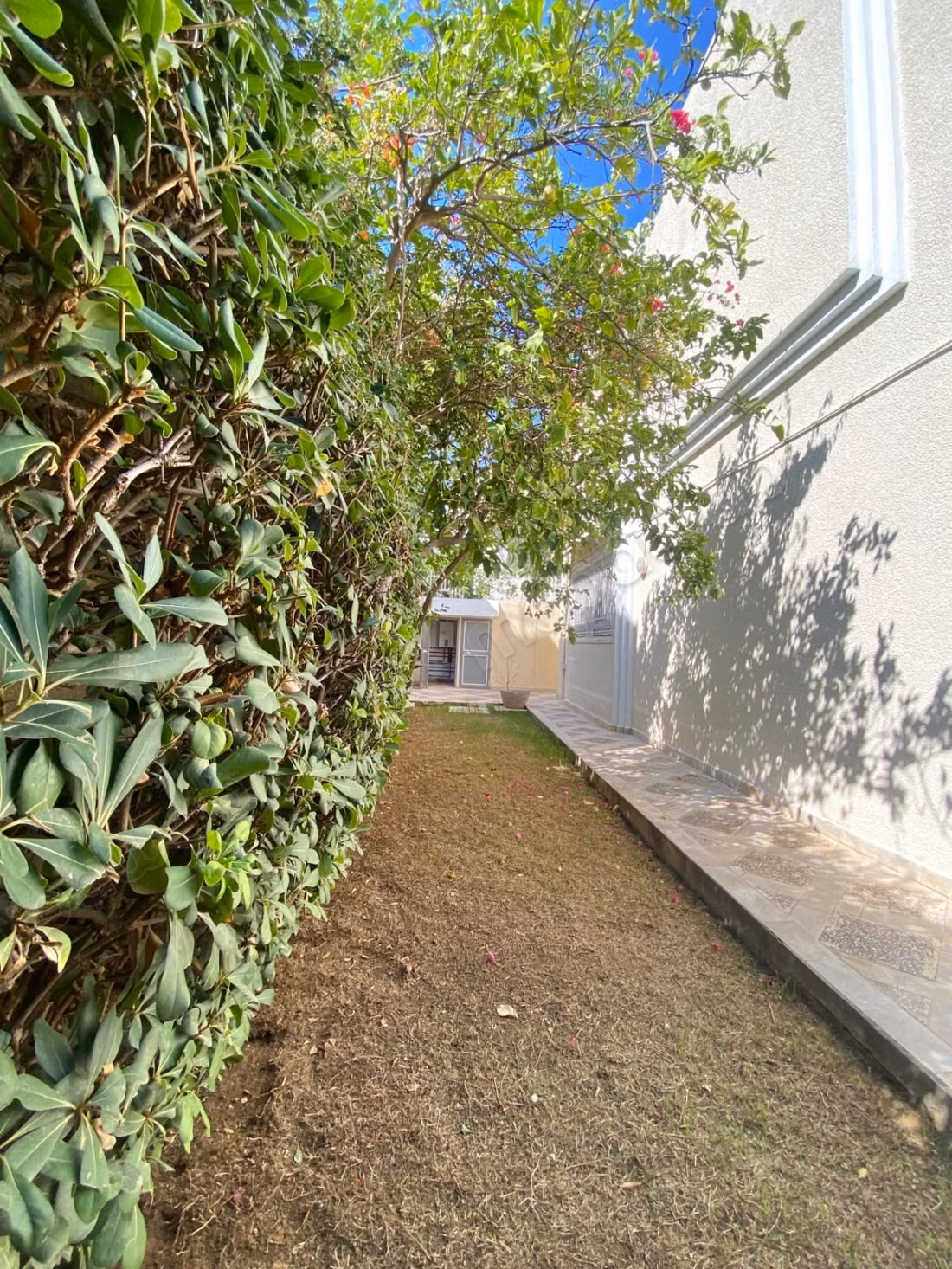 In affitto Villa S5 a Marsa
