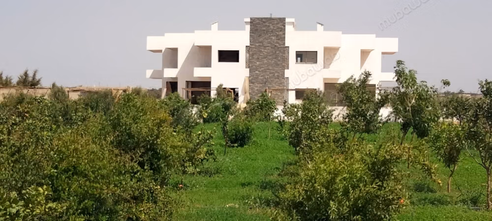 Vente de terrain à Benslimane.
Superficie 12500 m²