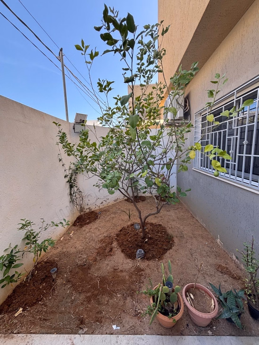 Casa di alta classe in vendita a Nouvelle Ariana. 5 belle camere. Doppi vetri e porta blindata