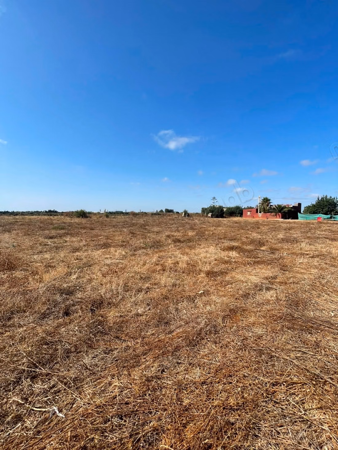 Terreno in vendita a Sabbah. Superficie totale 50673 m². Prezzo 500dh/m²