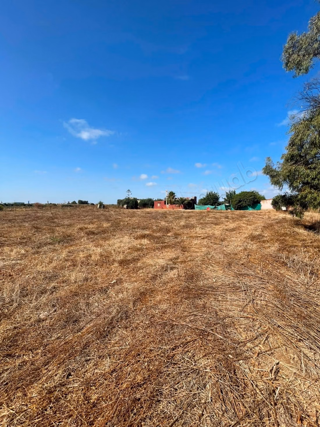 Terreno in vendita a Sabbah. Superficie totale 50673 m². Prezzo 500dh/m²