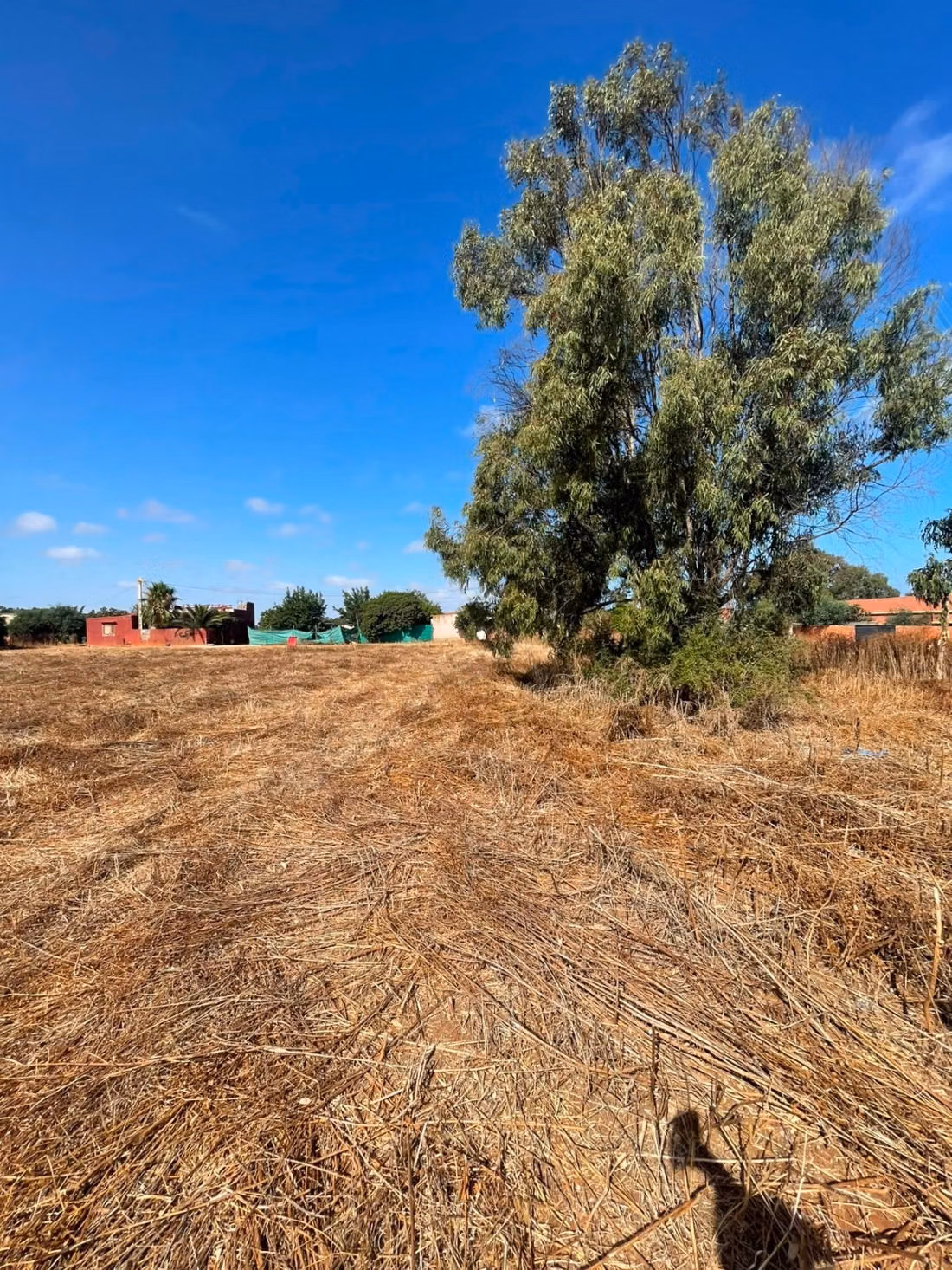 Terreno in vendita a Sabbah. Superficie totale 50673 m². Prezzo 500dh/m²