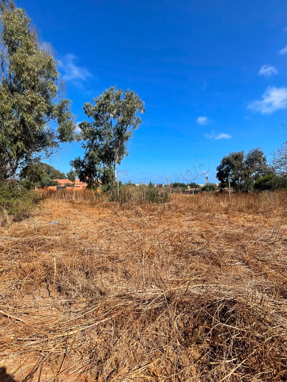 Terreno in vendita a Sabbah. Superficie totale 50673 m². Prezzo 500dh/m²