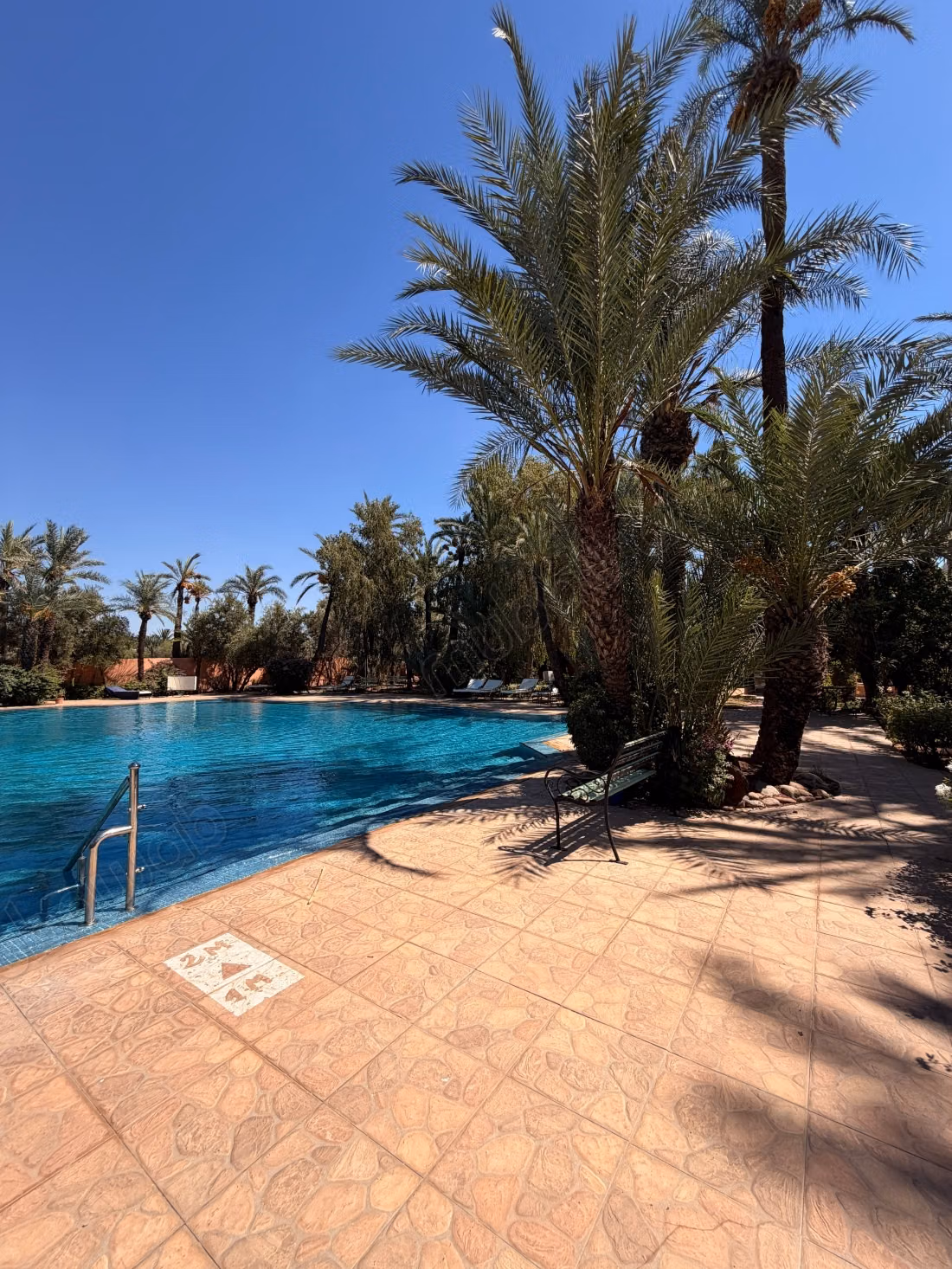 3 camere palmeraie