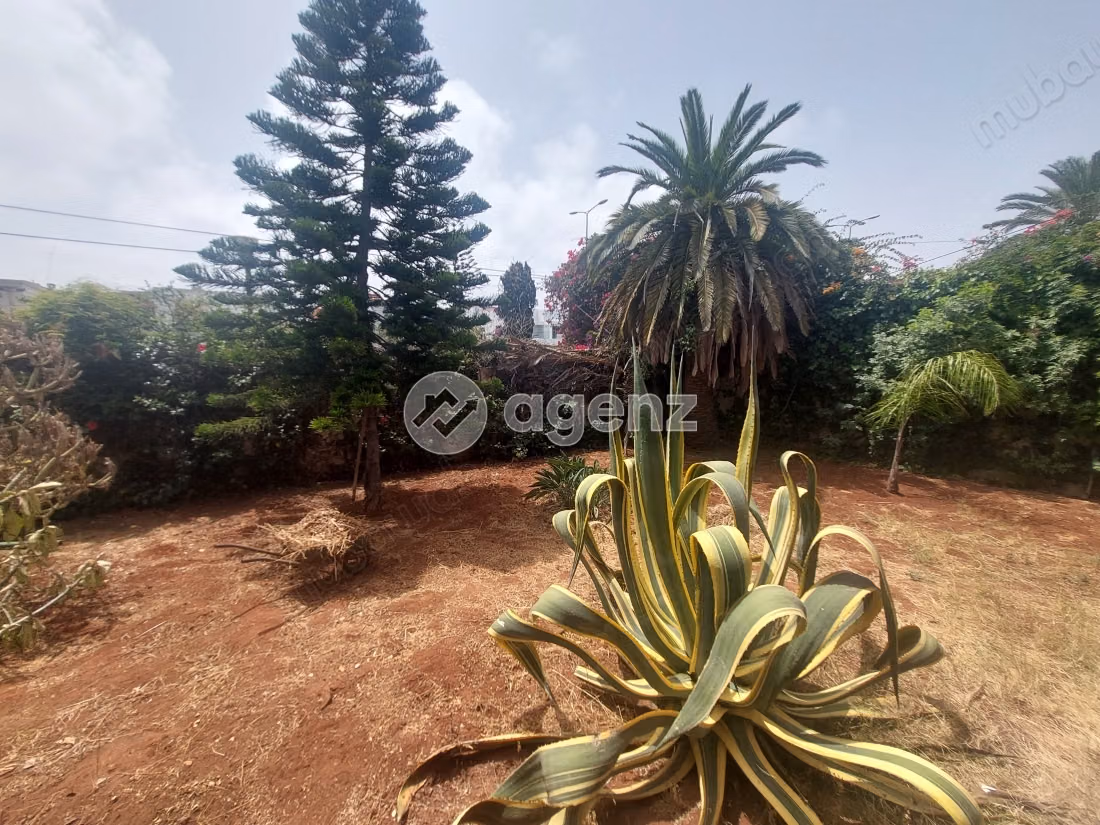 Villa for sale 1,317 m², 6 bedrooms Racine Casablanca