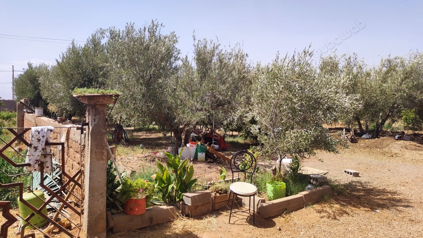 Farm on the main Fes road