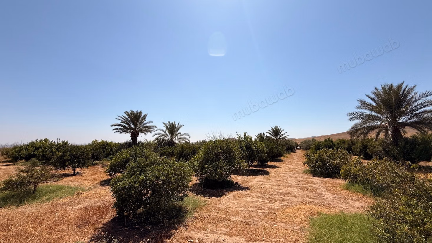 Terrain d’1 hectare avec permis de construire – Route de Casablanca, Marrakech