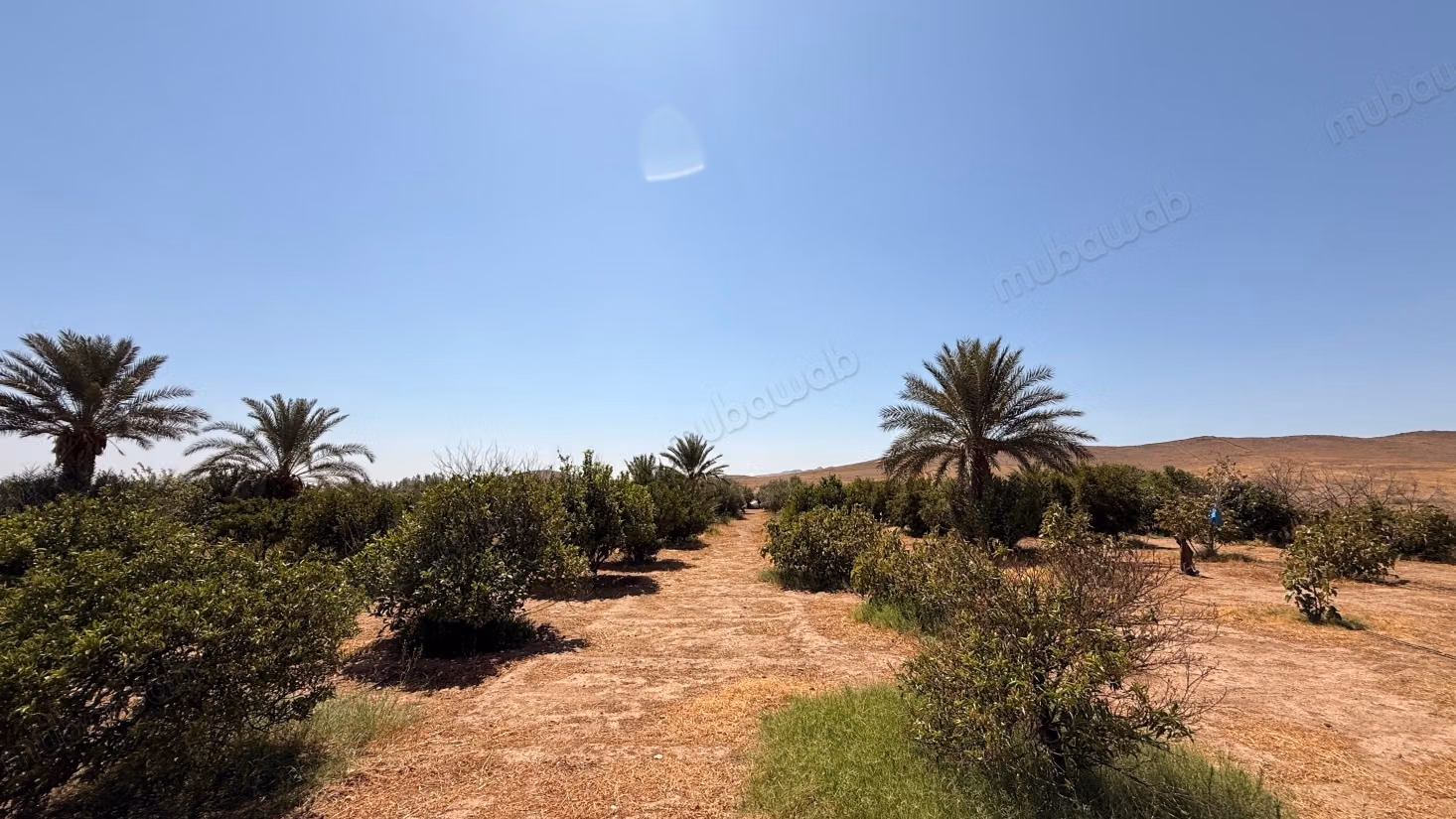 Terrain d’1 hectare avec permis de construire – Route de Casablanca, Marrakech