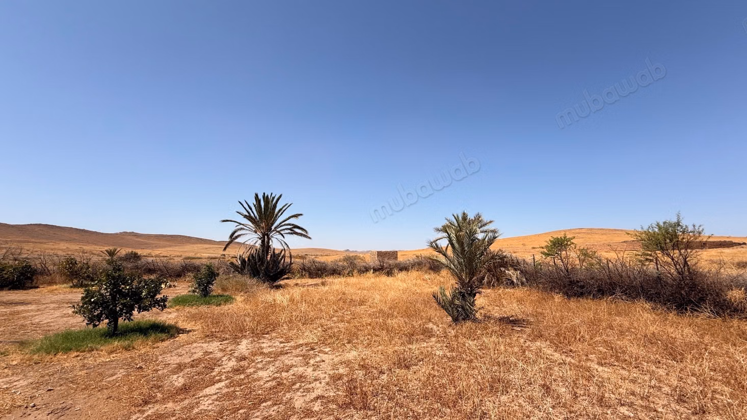 Terrain d’1 hectare avec permis de construire – Route de Casablanca, Marrakech