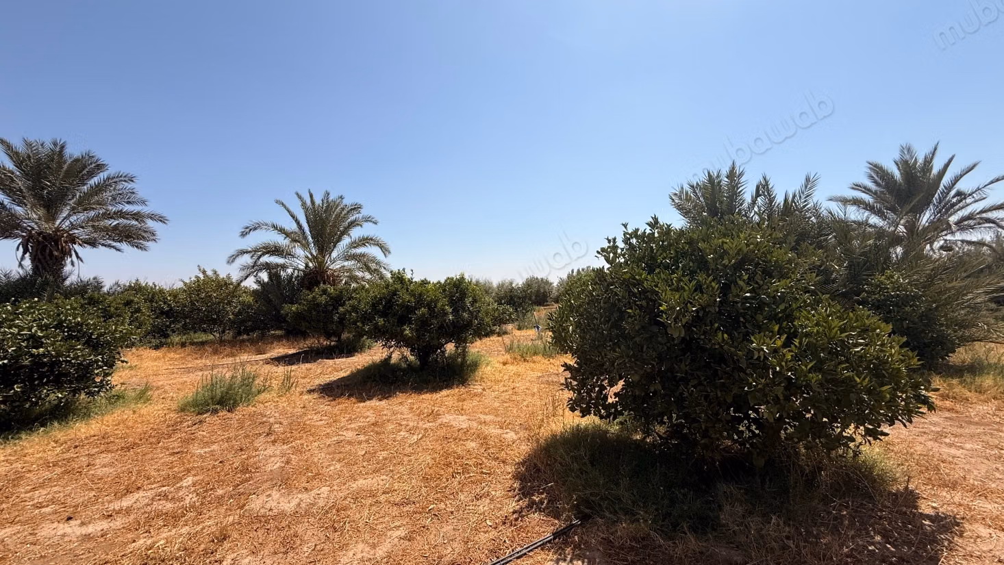 Terrain d’1 hectare avec permis de construire – Route de Casablanca, Marrakech