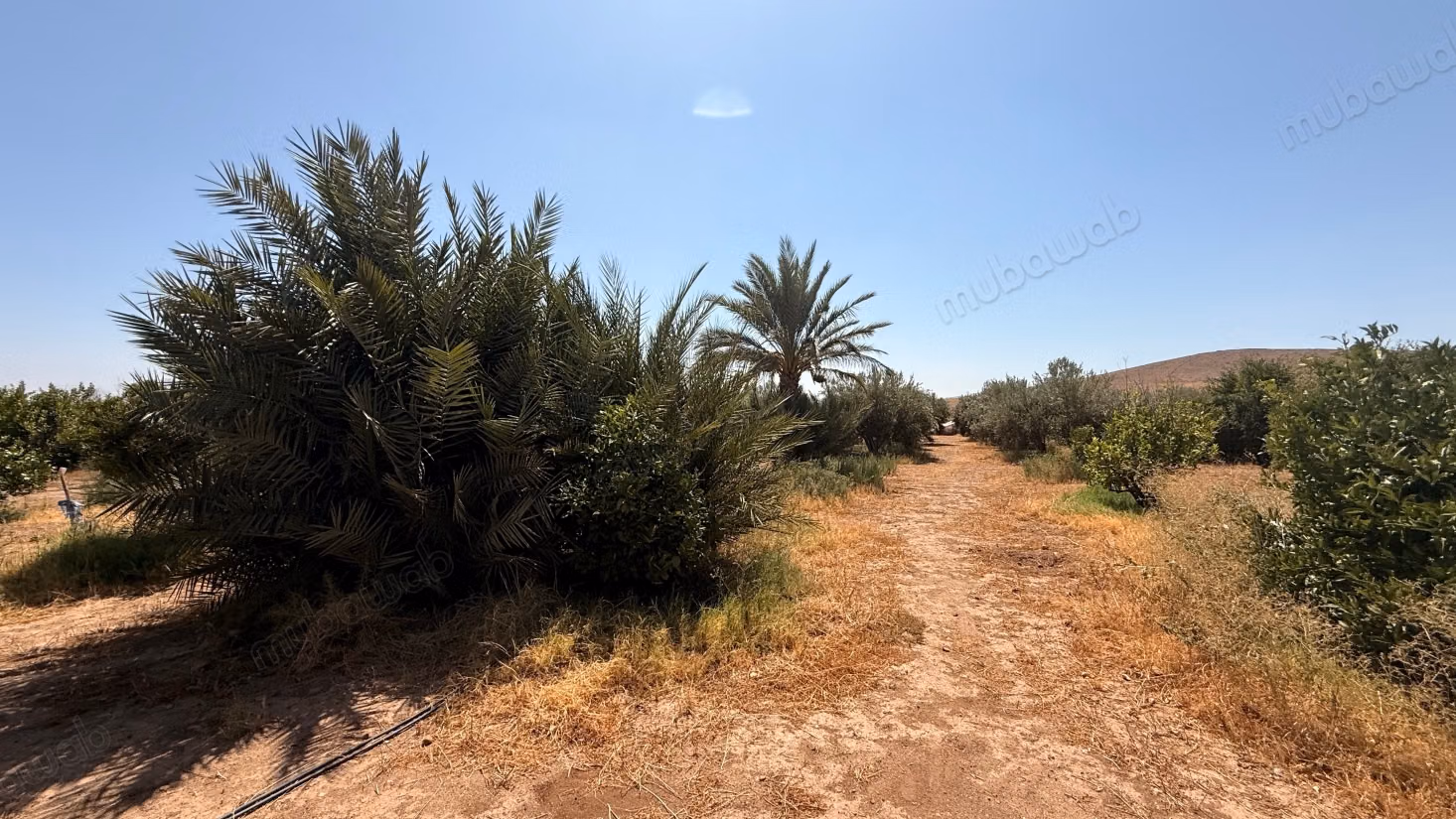 Terrain d’1 hectare avec permis de construire – Route de Casablanca, Marrakech