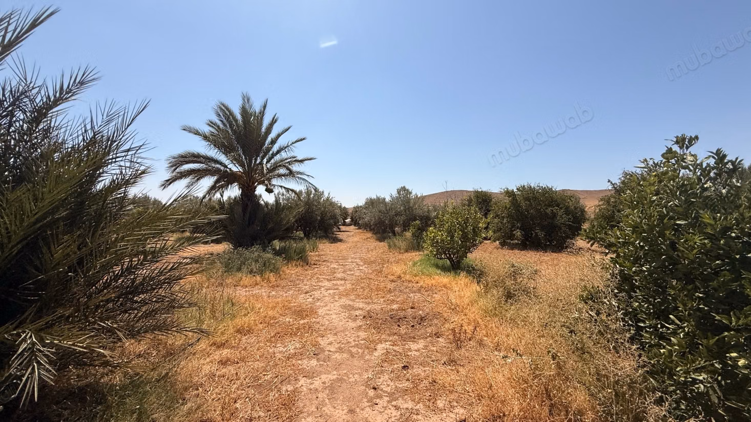 Terrain d’1 hectare avec permis de construire – Route de Casablanca, Marrakech
