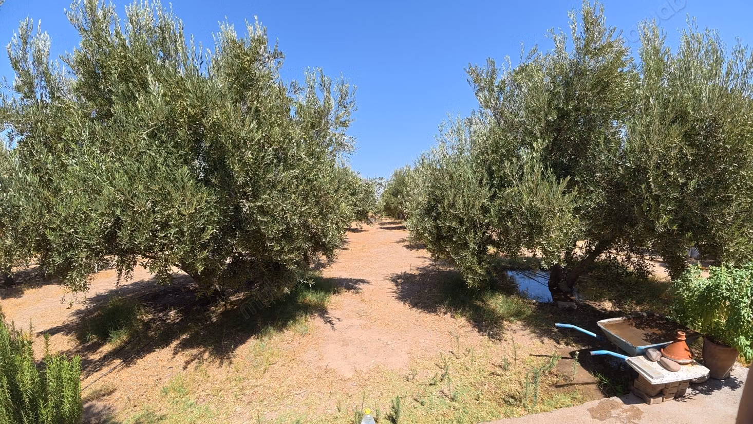 Terrain d’1 hectare avec permis de construire – Route de Casablanca, Marrakech