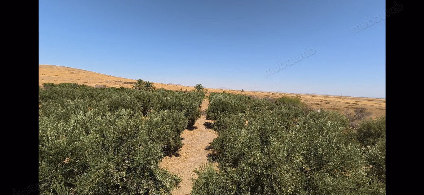 Terrain d’1 hectare avec permis de construire – Route de Casablanca, Marrakech