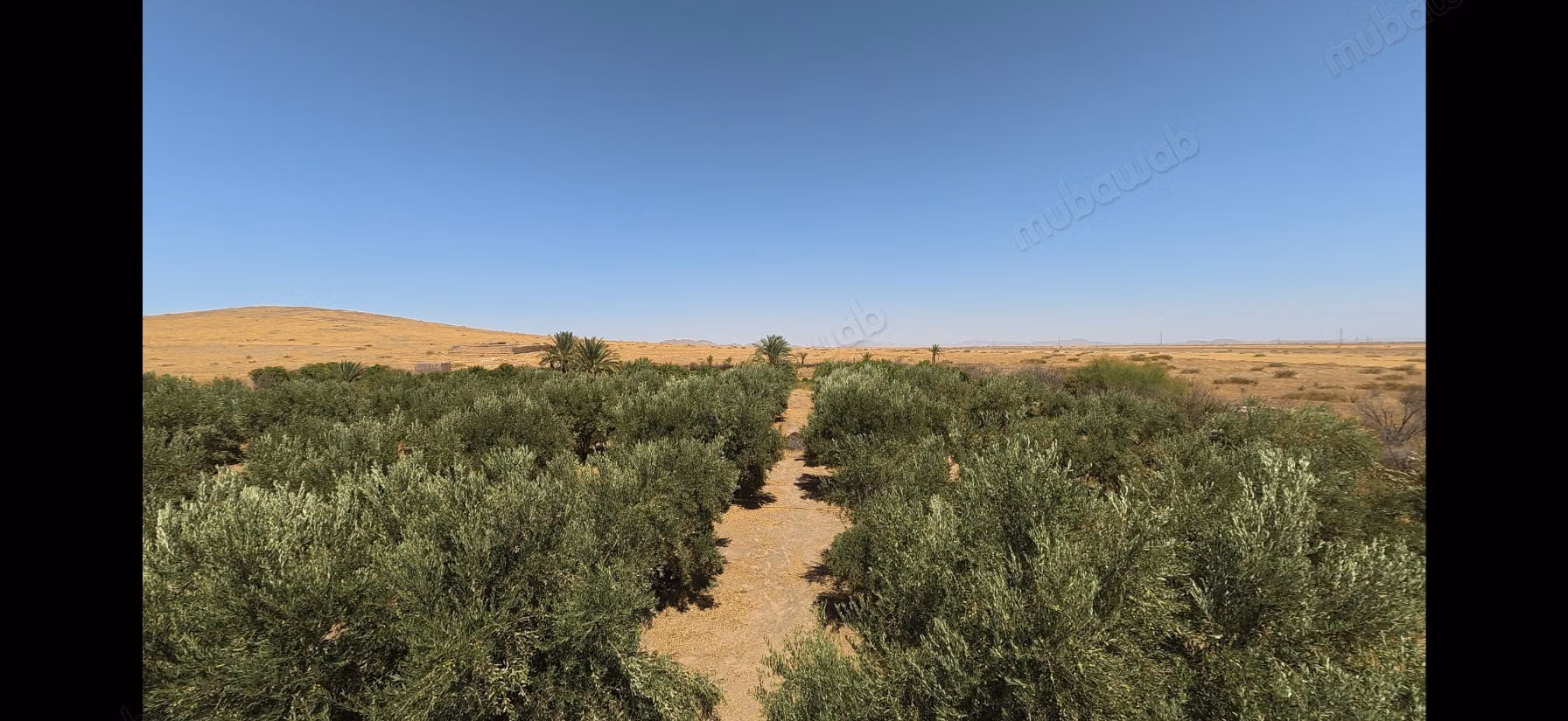 Terrain d’1 hectare avec permis de construire – Route de Casablanca, Marrakech