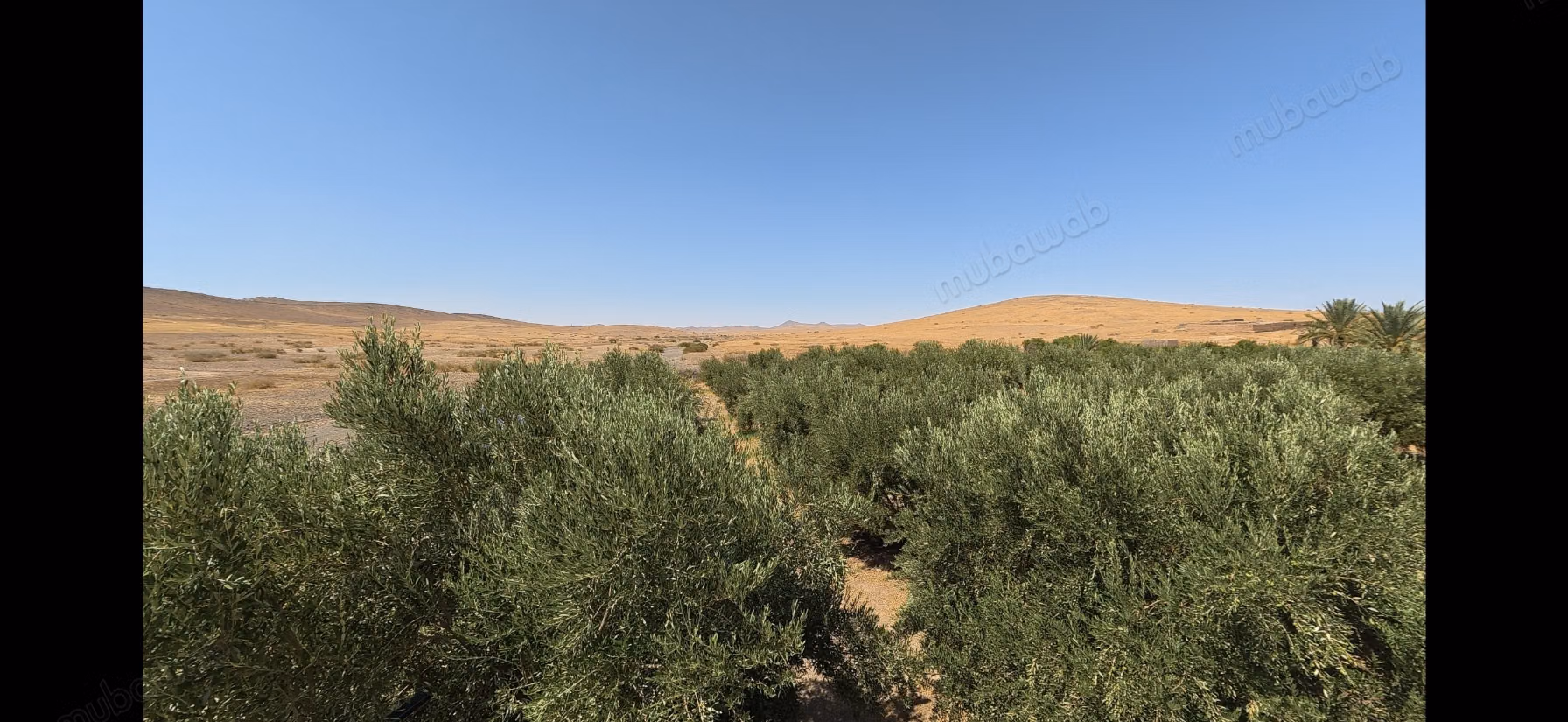 Terrain d’1 hectare avec permis de construire – Route de Casablanca, Marrakech