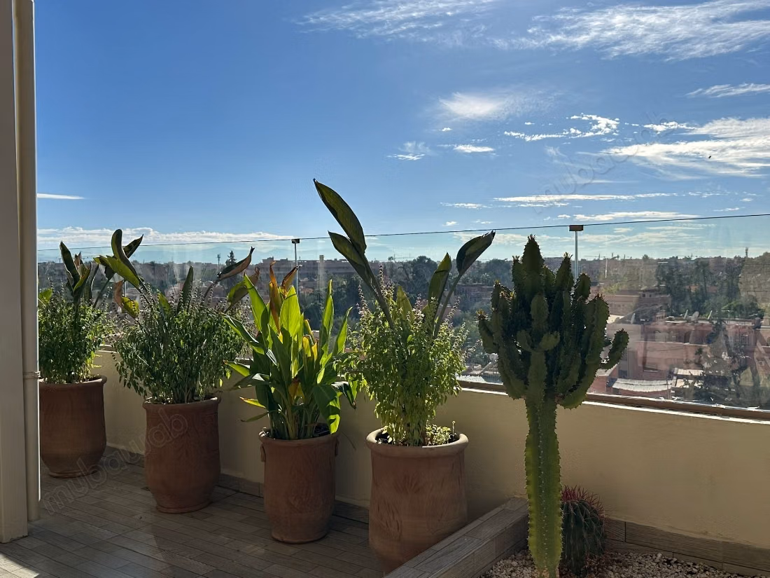 Belle opportunité: appartement à louer
