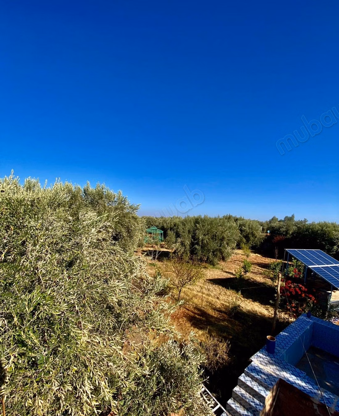 Beautiful farm for sale on Ourika Road