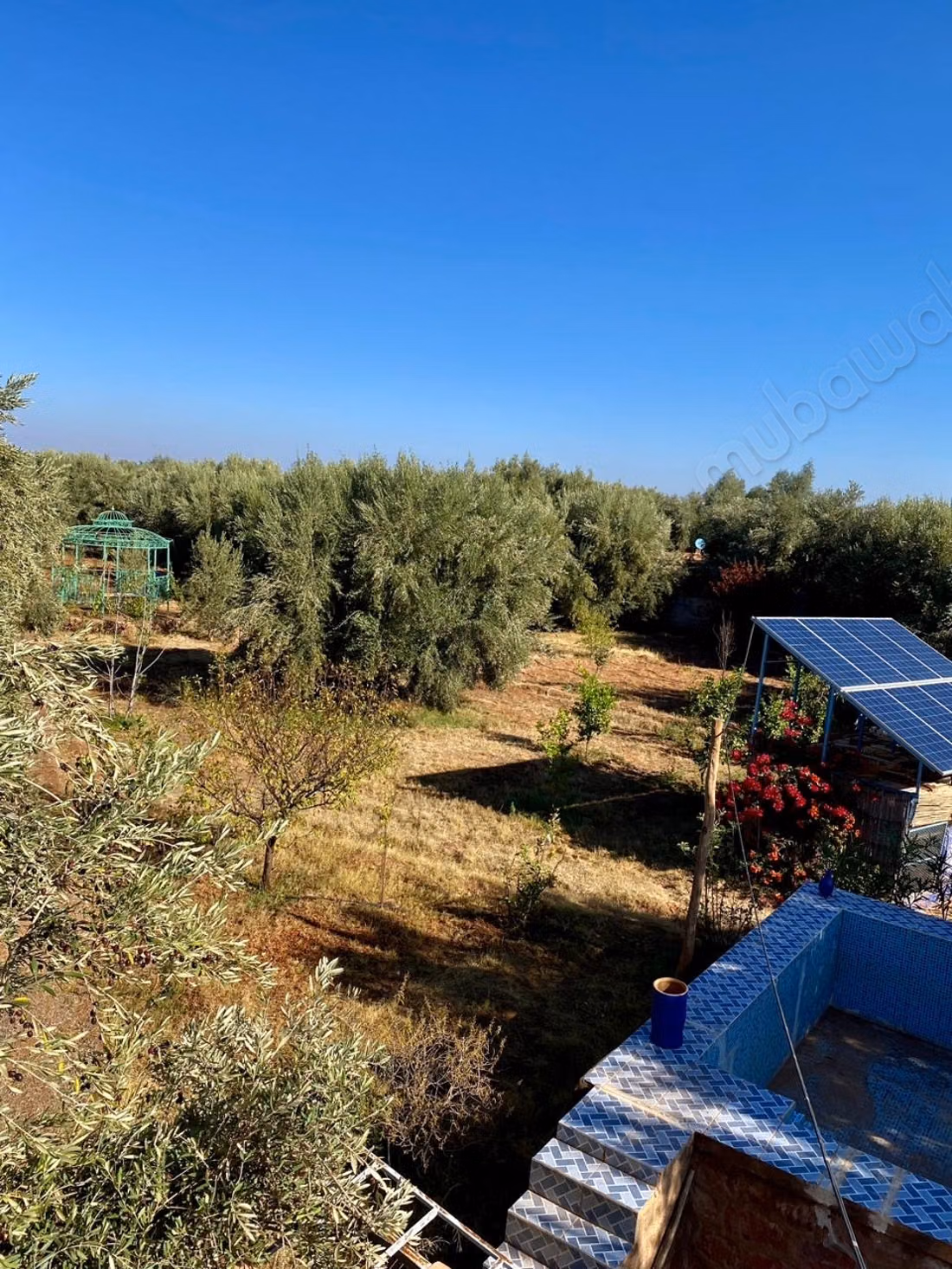 Beautiful farm for sale on Ourika Road