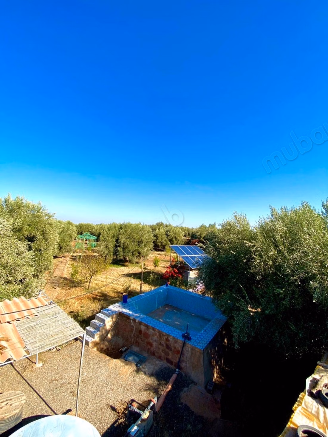 Beautiful farm for sale on Ourika Road