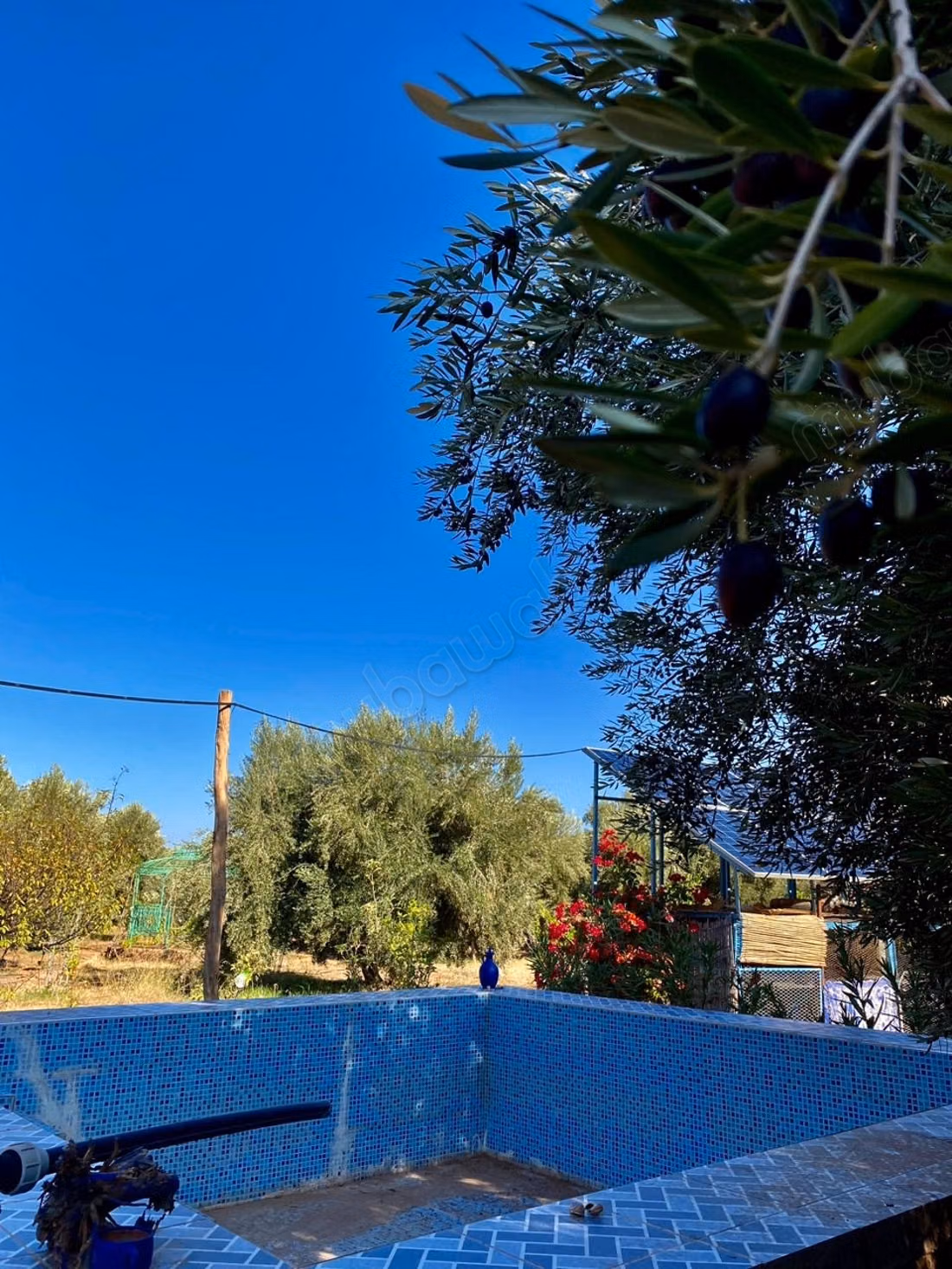 Beautiful farm for sale on Ourika Road