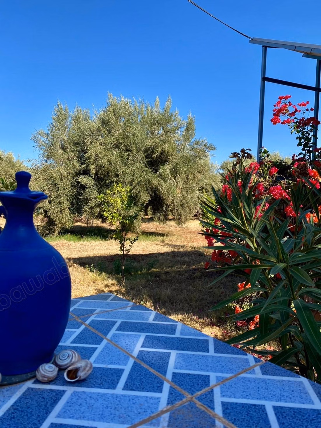 Beautiful farm for sale on Ourika Road