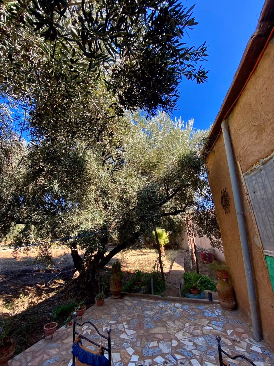Beautiful farm for sale on Ourika Road