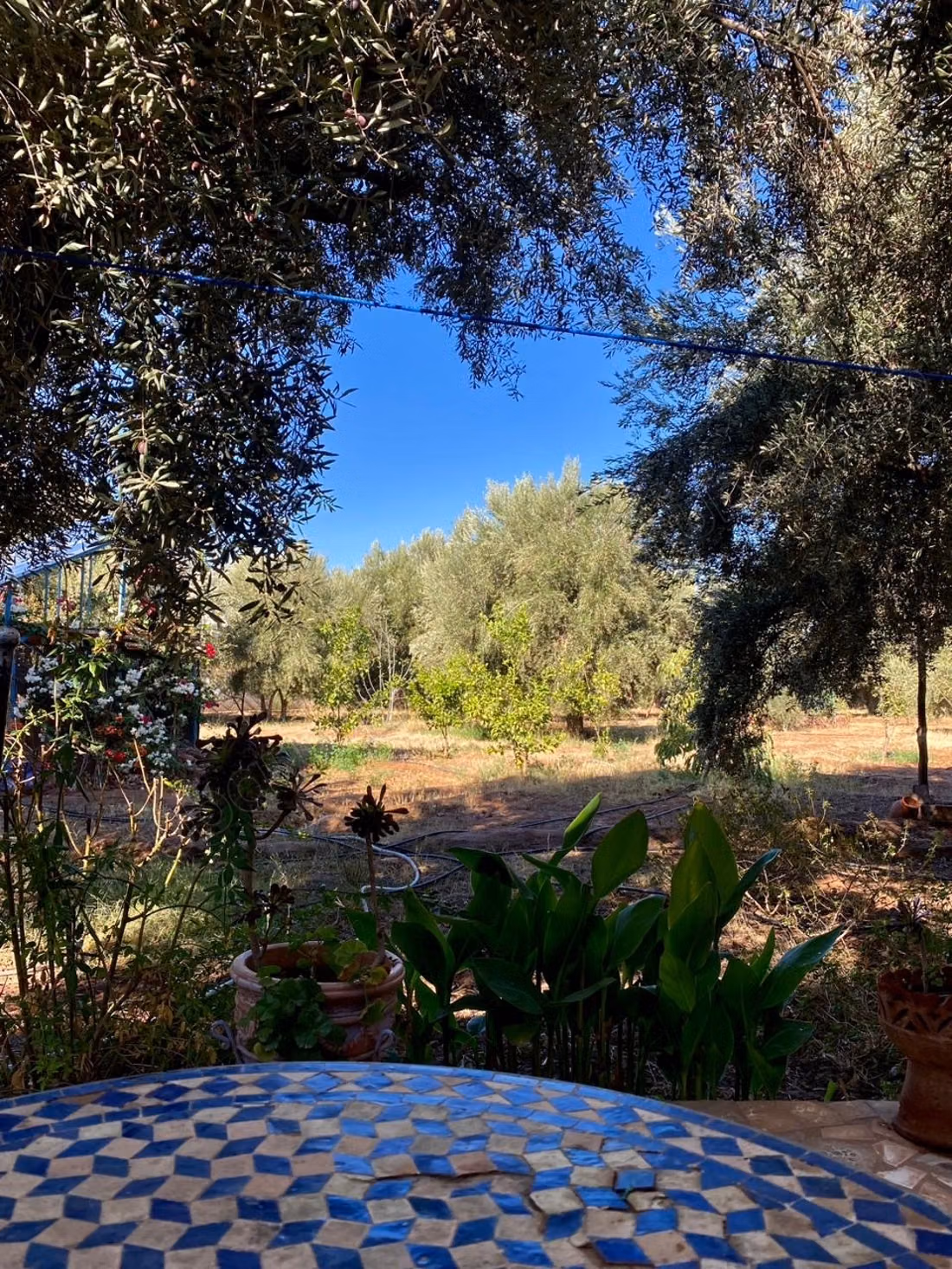 Beautiful farm for sale on Ourika Road