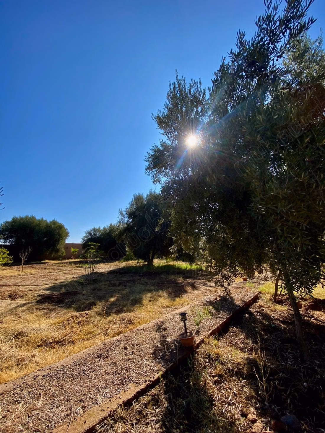 Beautiful farm for sale on Ourika Road