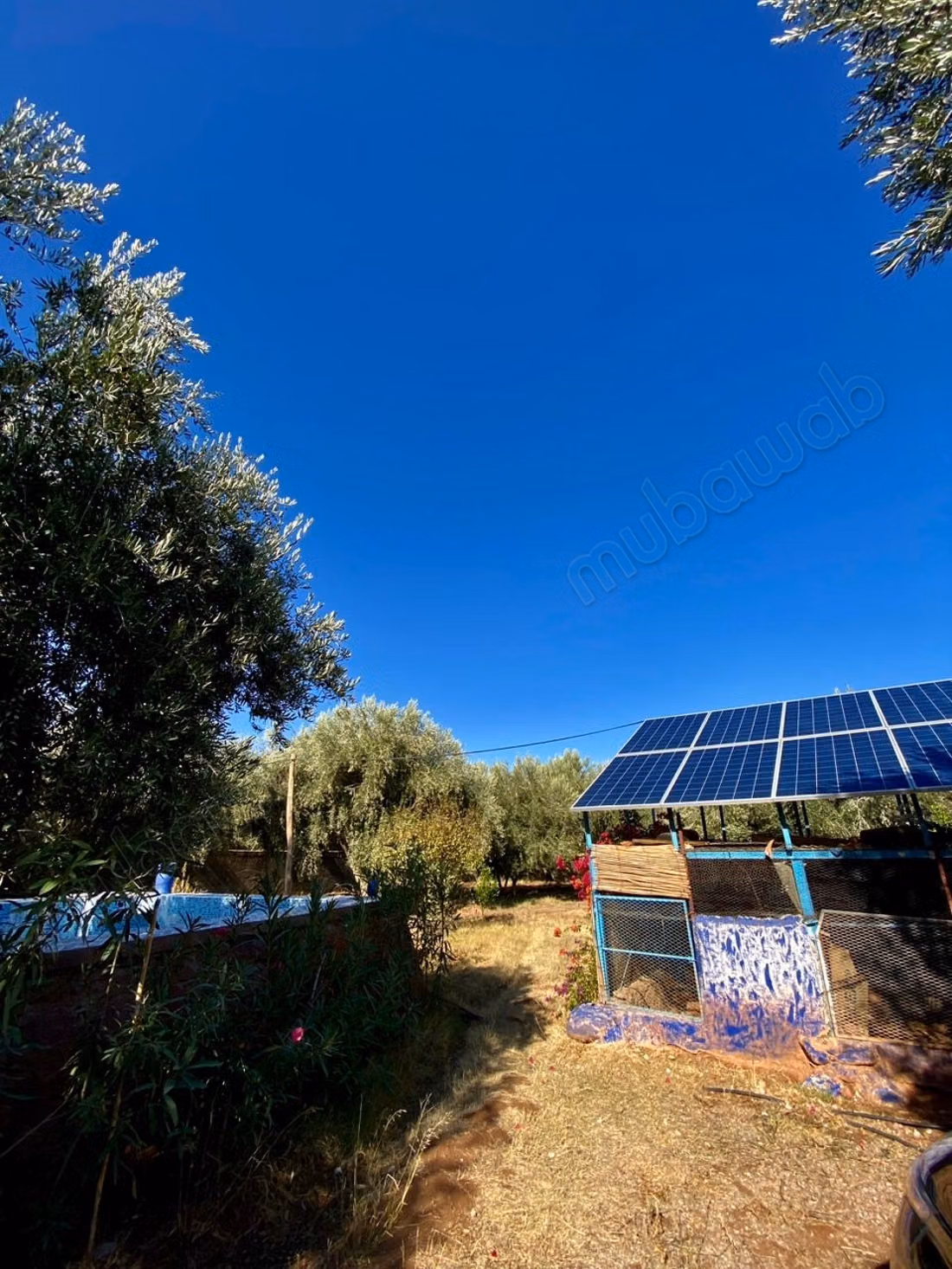 Beautiful farm for sale on Ourika Road